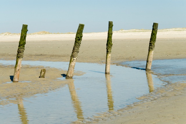 bild links oben